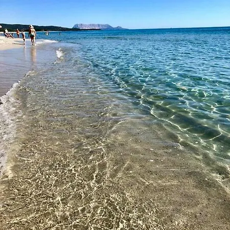 Sa Playa *